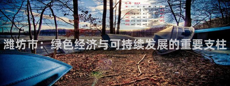 万事娱乐 找86555
