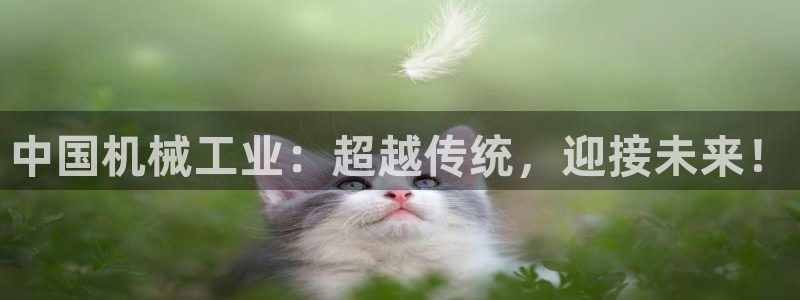万事娱乐筘49403