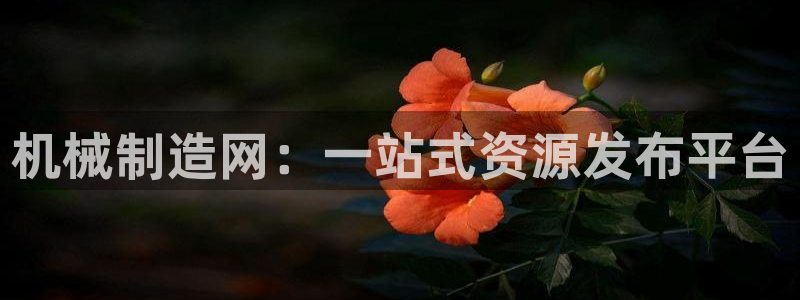 万事娱乐化