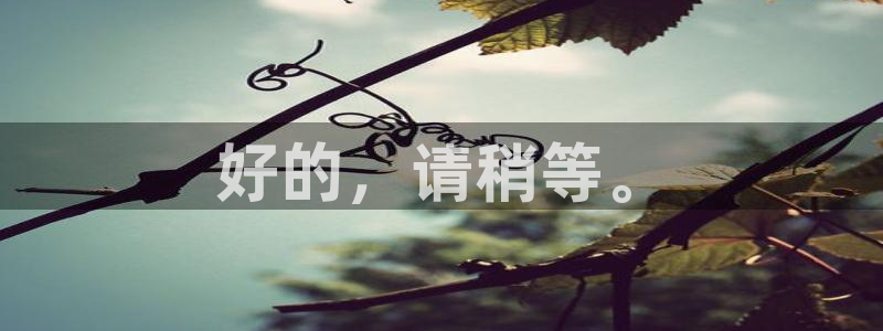 万事2娱乐招商主管