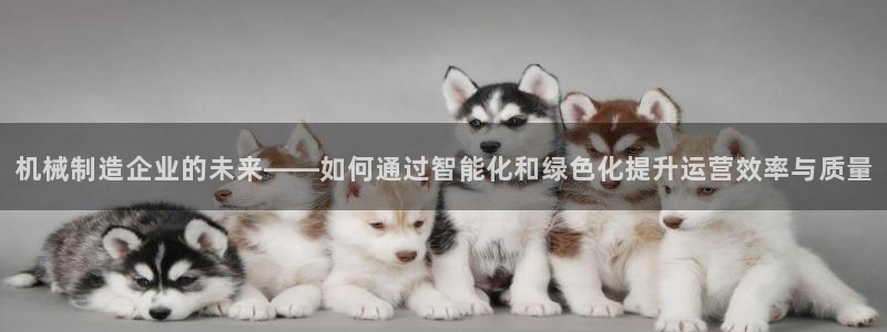 万事达娱乐f 判官