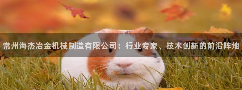 万事其昌娱乐传媒