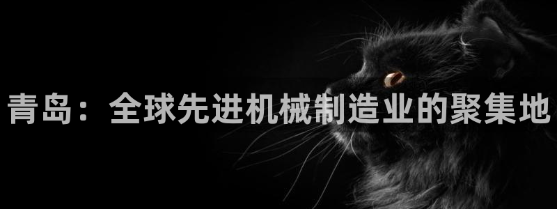 万事2娱乐招商主管