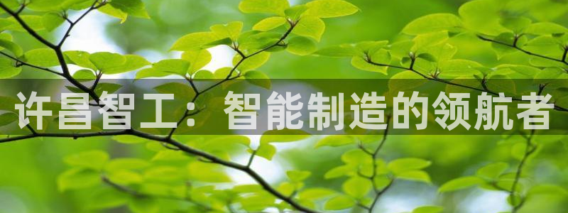 万事达娱乐董善良