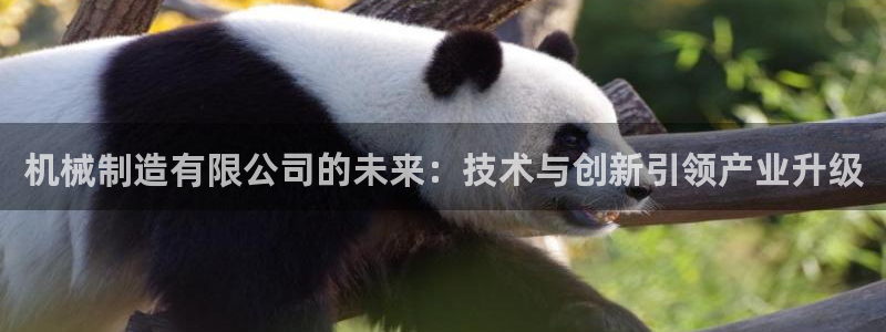 万事皆可娱乐