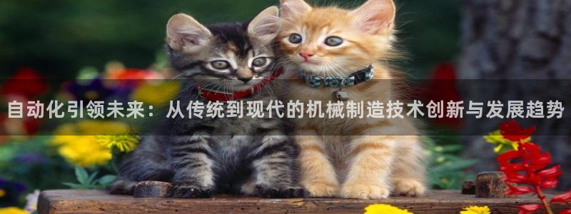万事娱乐公司简介