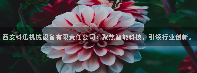 万事娱乐主管年薪多少