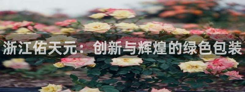 万事达娱乐h OO判官