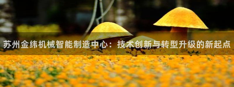万事如意纯属娱乐