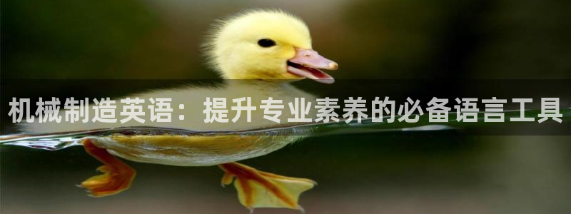 万事娱乐招商主管