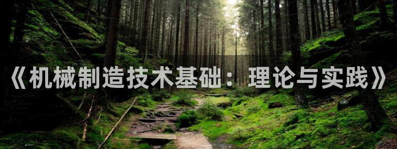惠东万事达酒店娱乐