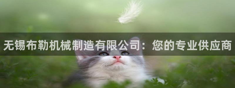 万事娱乐吧