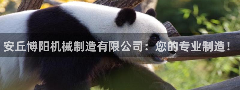 万事娱乐主管薪资结构