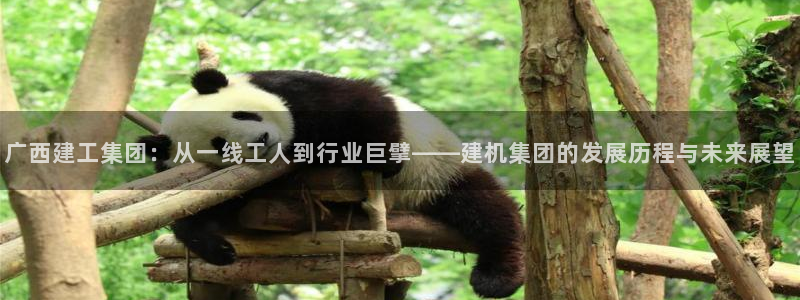 万事娱乐主管招聘信息