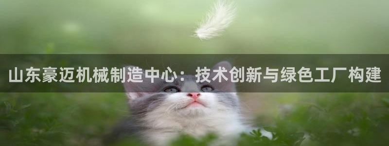 万事娱乐下载手机版