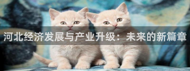 万事达娱乐指尖年