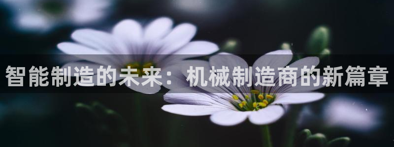 万事达大酒店娱乐