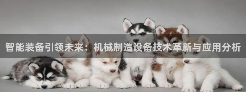 万事达娱乐朱善良