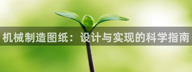 人间万事屋娱乐锤