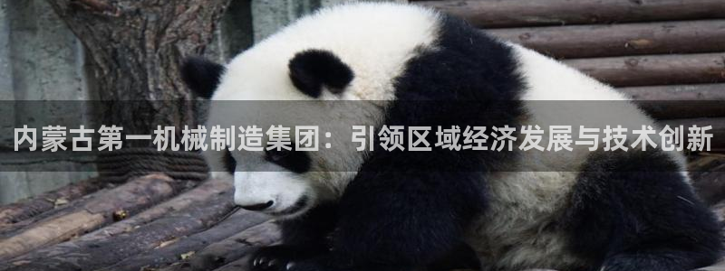 万事达娱乐下载