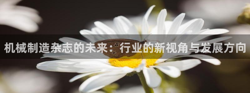 万事娱乐主管薪资结构