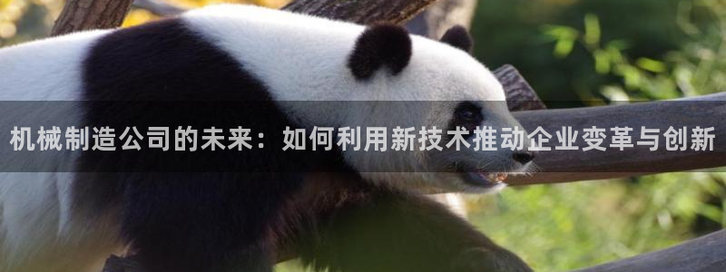 万事娱乐判决书