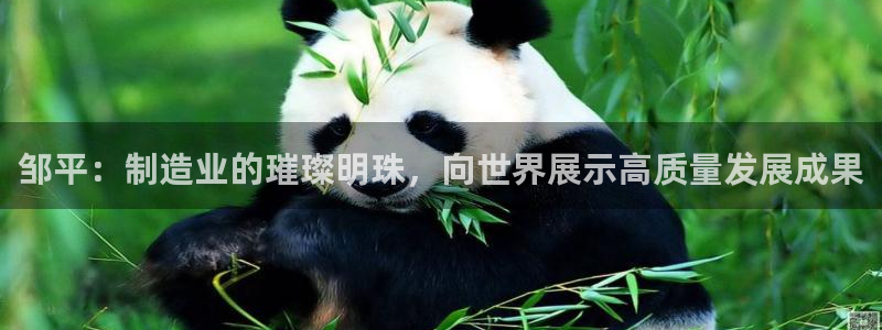 万事通娱乐官网