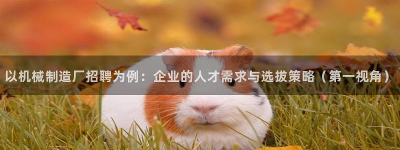 万事达娱乐何善良