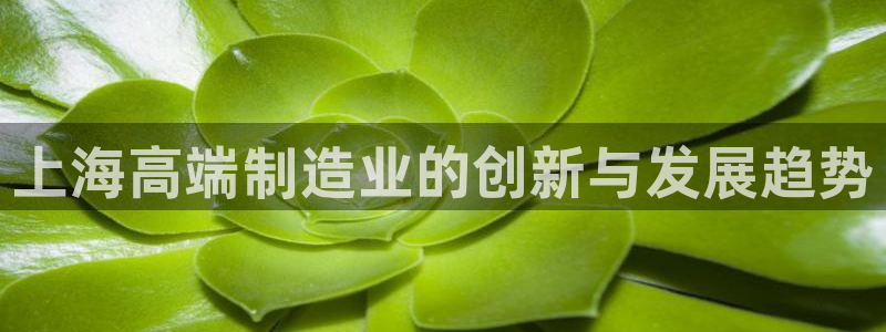万事达娱乐程善良