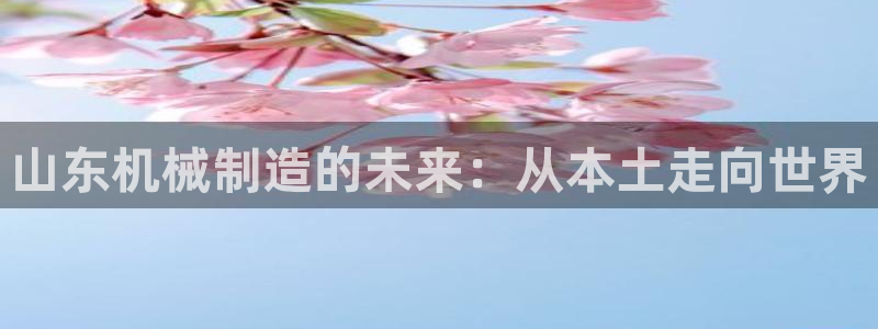 万事达娱乐球33300