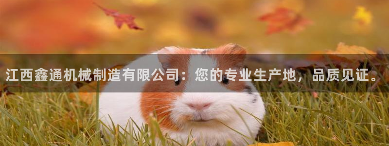 娱乐节目万事屋