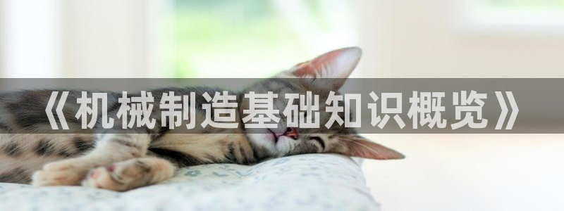 万事达娱乐董善良