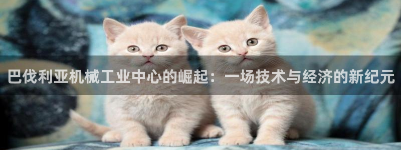 万事达娱乐网址