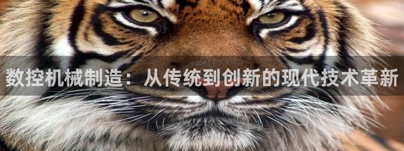 万事娱乐官网