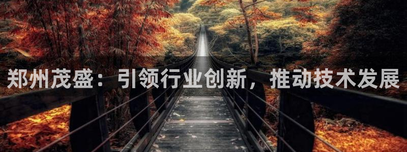 万事达娱乐指尖年