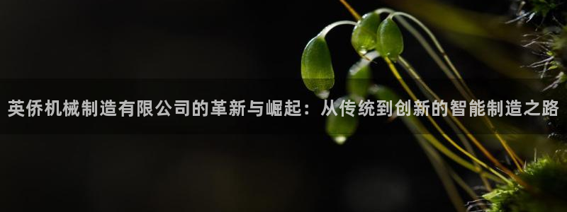 万事娱乐招商加盟