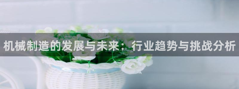 万事达娱乐问55312