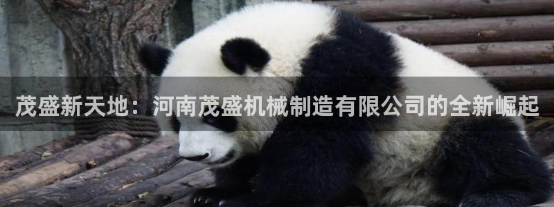 万事娱乐官网下载
