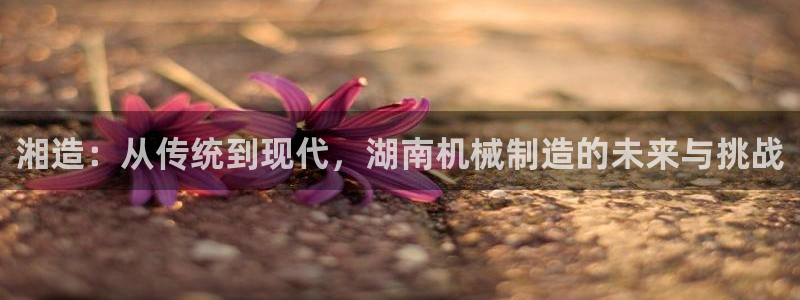 万事娱乐招商
