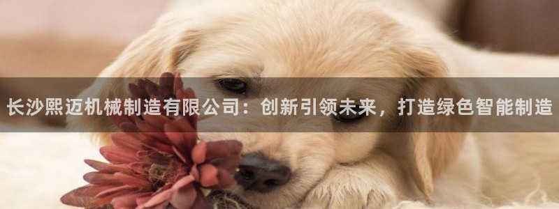 万事达娱乐经纪公司