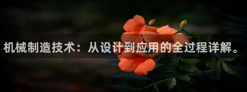 娱乐制造机万事屋