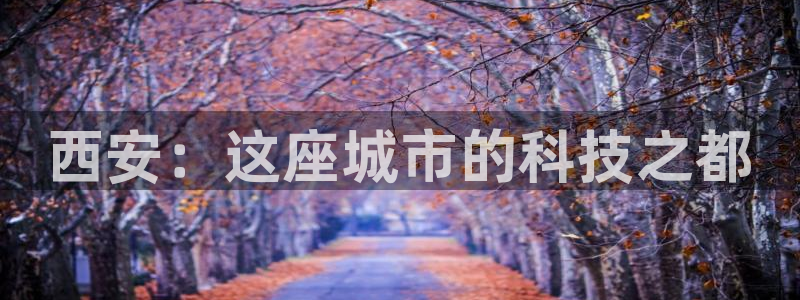 万事娱乐官网