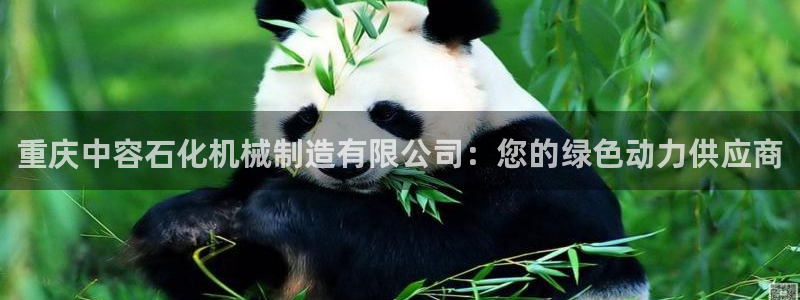 万事达娱乐朱善良