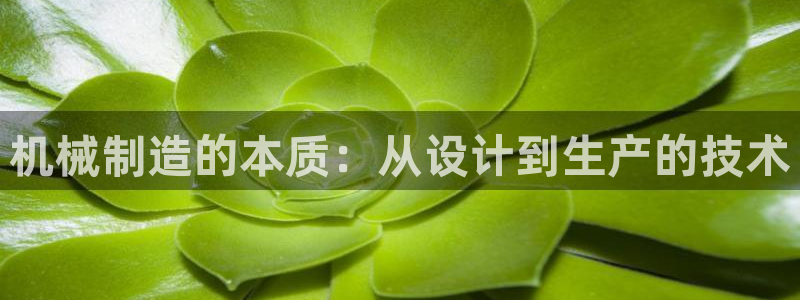 万事娱乐平台