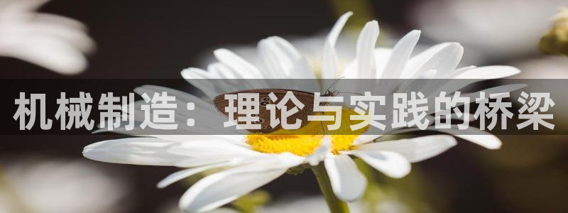 万事达娱乐招商