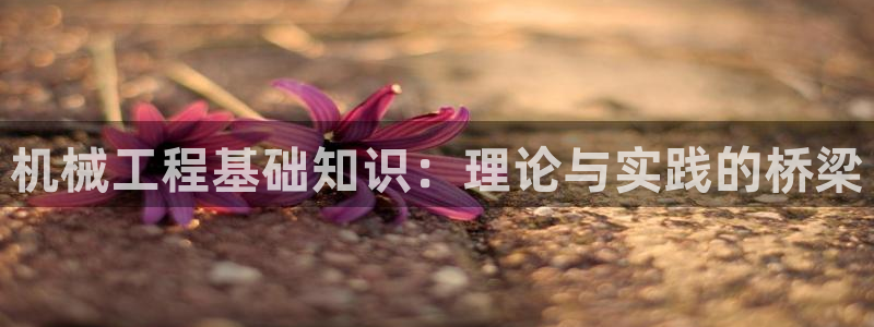 万事娱乐登录注册不了