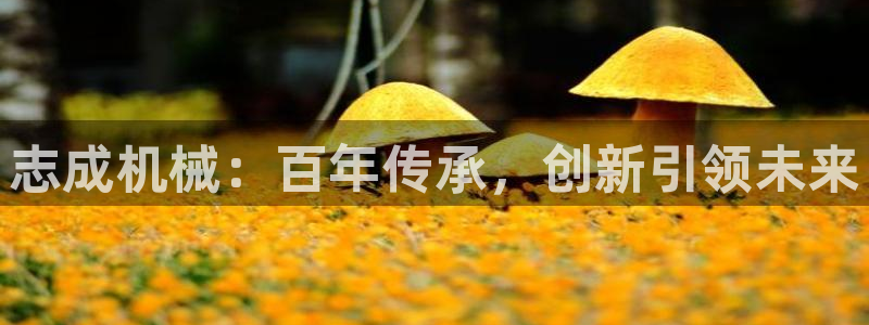 万事达娱乐朱善良