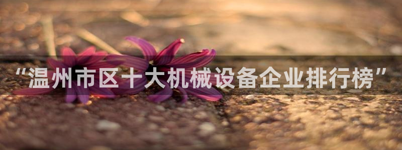 万事通娱乐官网