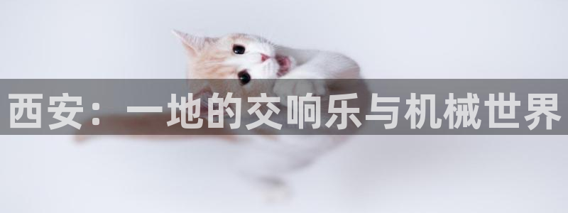 万事达娱乐 股东