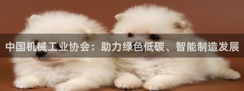 万事大吉娱乐项目